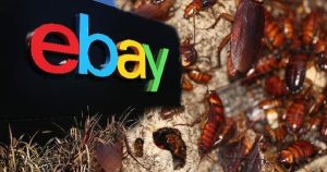 Nhân viên gửi gián sống cho khách, eBay bị phạt 3 triệu USD